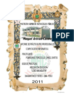 108118664-Informe-de-Practicas-Preprofesionales-Computacion-e-Informatica.pdf