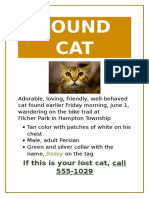 Found CAT: If This Is Your Lost Cat, Call 555-1029