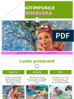 pprimavara1