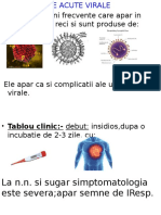 Pneumoniile Acute Virale