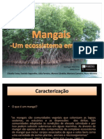 Mangais -  Um ecossistema em risco