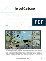 Ciclo del Carbono II.doc
