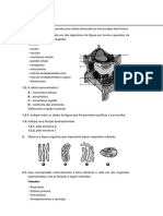 Teste Avaliacao 01 PDF