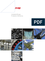 Raycap Industrial Surge Protection Brochure A4 Size PDF