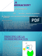 Bioremediacion