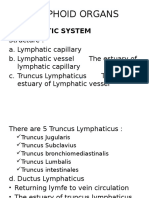 Lymphoid Organs