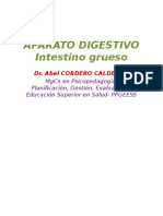 APARATO DIGESTIVO 2