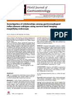 Investigation of Relationships Among Gastroesophageal Reflux Disease Subtypes Using Narrow Band Imaging Magnifying Endos