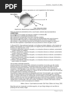 QUESTAO Optica Da Visao