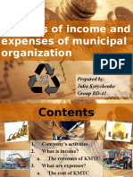 Analisis of Income and Expenses of Municipal Organization