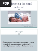 Persistencia Canal Arterial