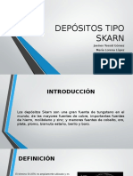 Depósitos Tipo Skarn