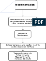 Eritrosedimentacion