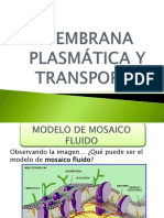 Clase 1. Ppt Membrana Plasm Tica