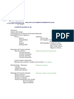 Cemento Radicular