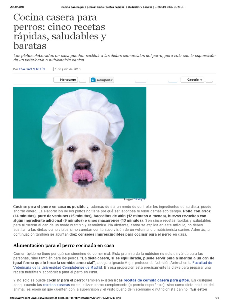 Cocina Casera para Perros - Cinco Recetas Rápidas, Saludables y Baratas - EROSKI  CONSUMER | PDF | Dieta | Arroz