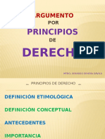 9.1) Argumento Por Principios de Derecho