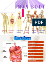 Q U I T: Digestive System Skeletal System