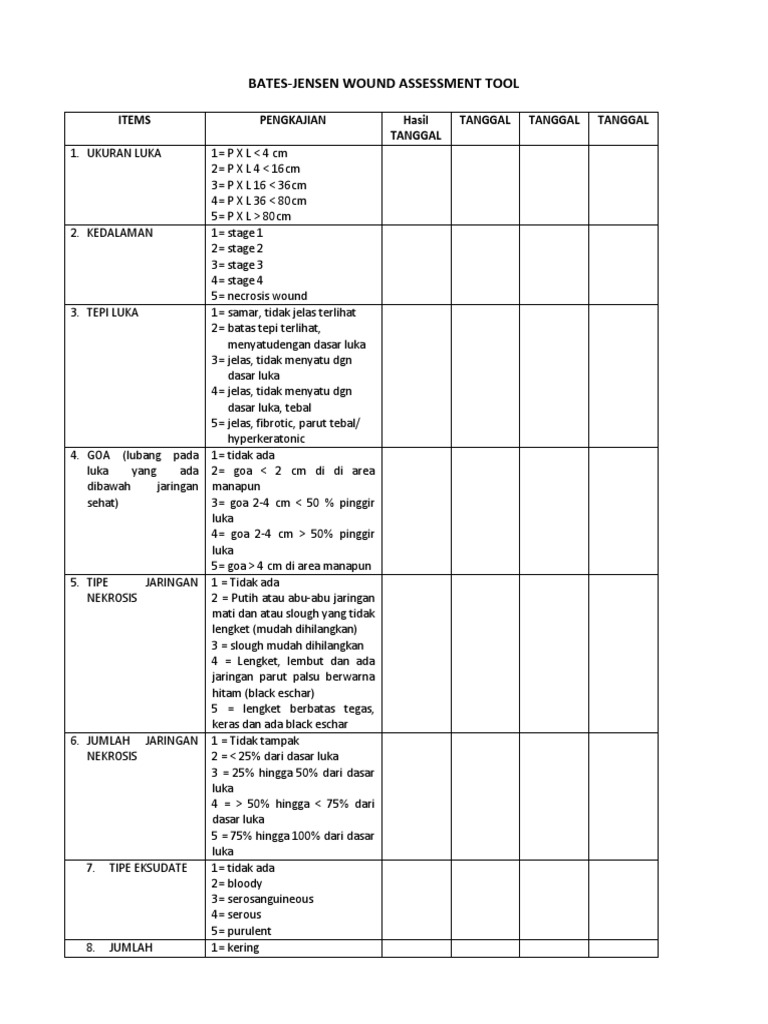 Bates Jensen Wound Assessment Tool | PDF