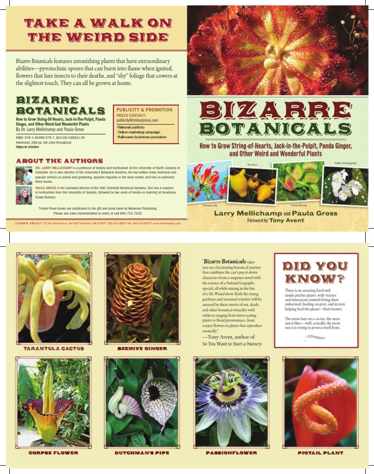 Grow Extraordinary Bizarre Botanicals | PDF | Botany | Landscape