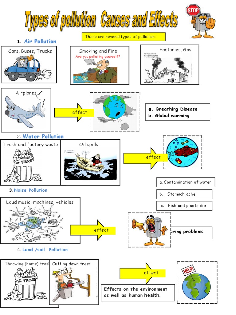Types and Effects of Pollution | PDF | Science & Mathematics
