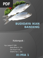 Download Ppt Budidaya Ikan Bandeng Fix by shafiracheepy SN328004072 doc pdf