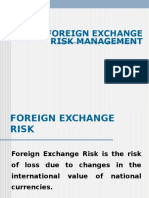 Foreign Exchange Risk From Ravi
