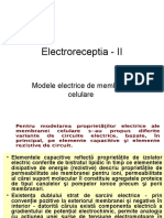 Ok C Electroreceptia - II