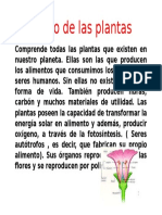 Reino de Las Plantas