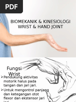 Bm Kn Wrist Hand Joint