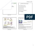 pdf cephalisation