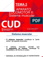 Tema 2 - El Sistema Muscular