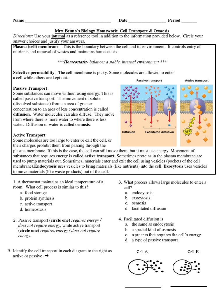 osmosis homework help