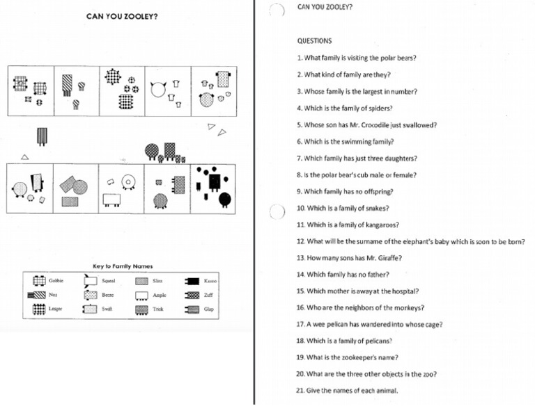 Can You Zooley PDF
