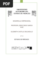 Elizabeth Castillo Delgadillo_EDEM