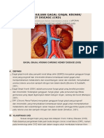 Laporan Pendahuluan CKD