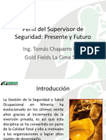 perfil supervisor de seguridad.pdf