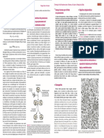 Biologia Celular e Molecular 9ª Ed Junqueira & Carneiro