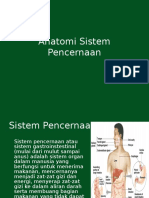Anatomi Sist Pencernaan