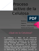 Proceso Productivo de La Celulosa