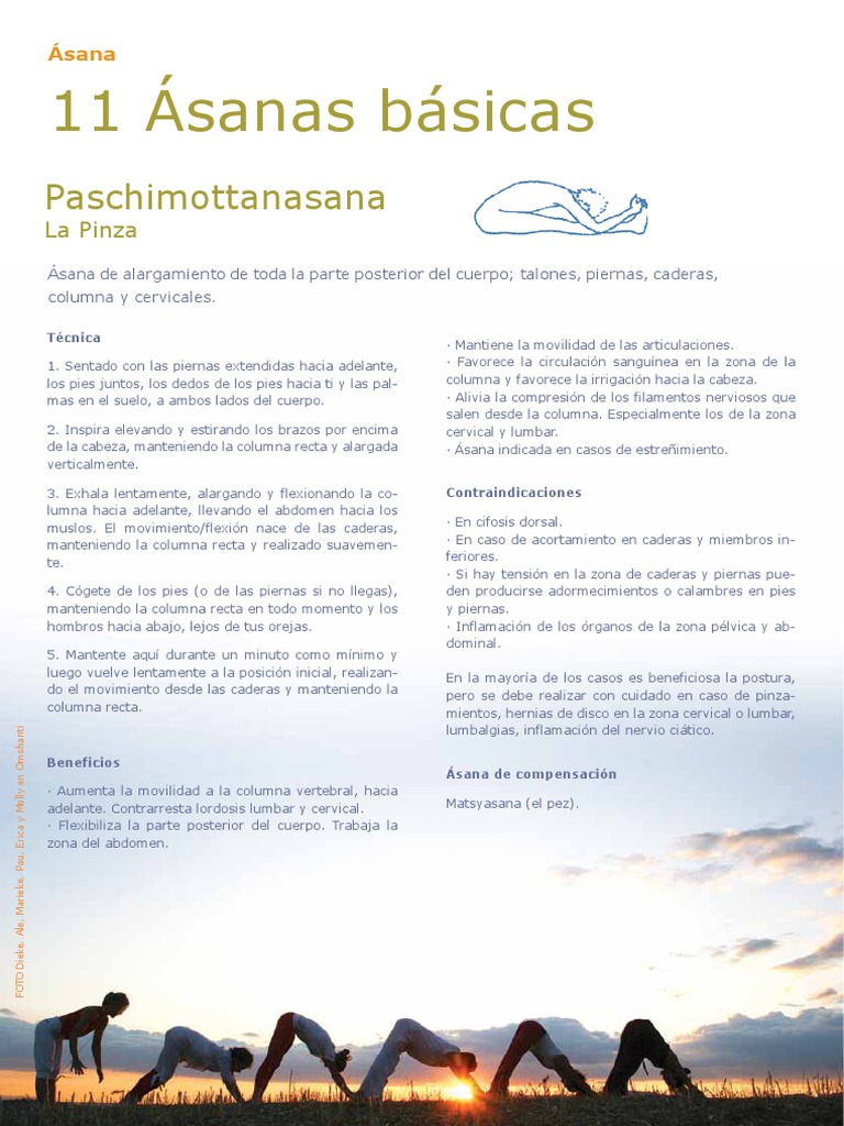 Asanas Basicas Yoga PDF | PDF | La columna vertebral | Rodilla