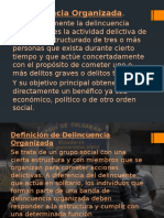 Diapositivas de Los Delincuentes