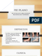 Pie Plano