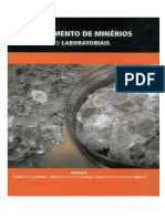 Trat.Min.Prat.Laboratoriais (Joao,Silvia e P.Braga).pdf