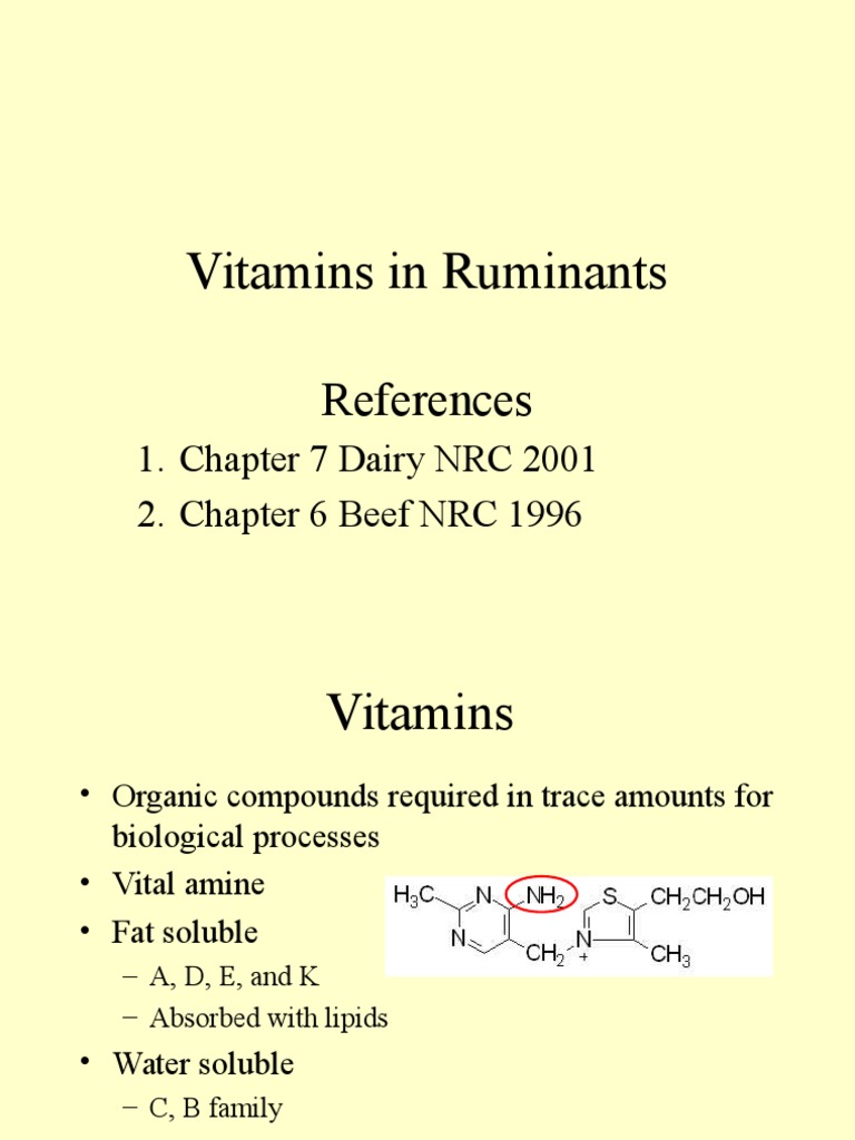 Vitamin D Deficiency in Ruminants | PDF | Vitamin A | Vitamin D
