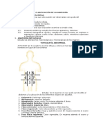 Anatomía clasificación guía