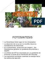 La_FOTOSINTESIS (1).ppt