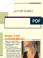 Regio Colli (Leher) 1