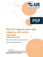 Martí - Plan de Negocio para Una Empresa Del Sector Citrícola