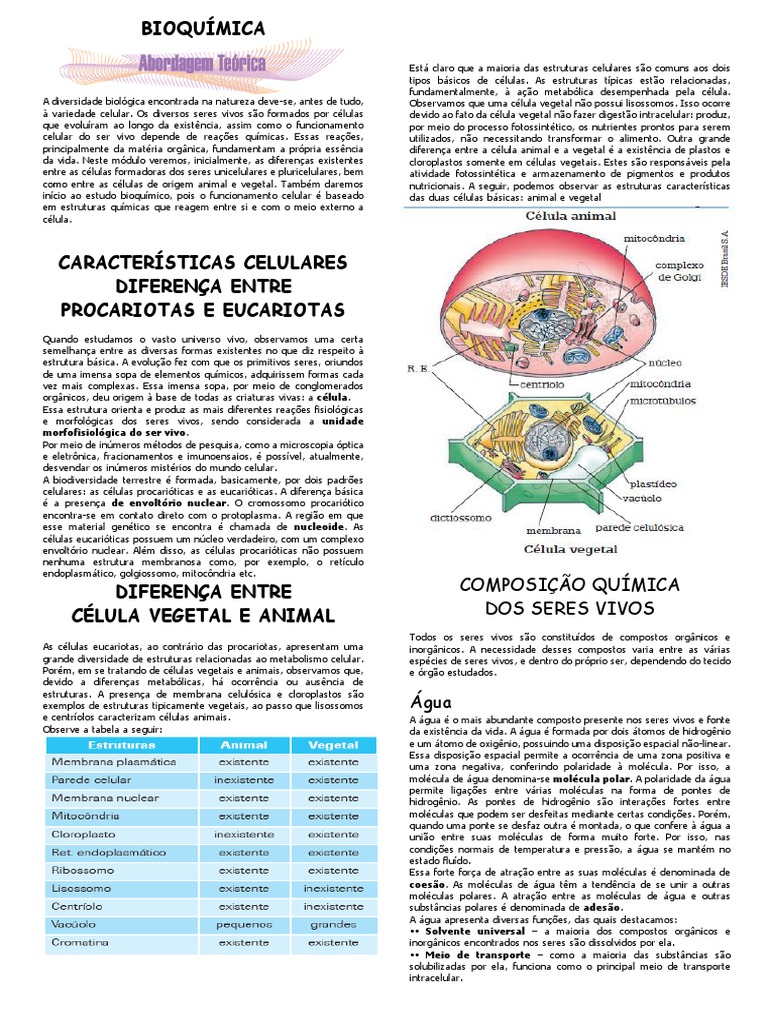 Resposta Apostila De Biologia 1 Ano Volume 1